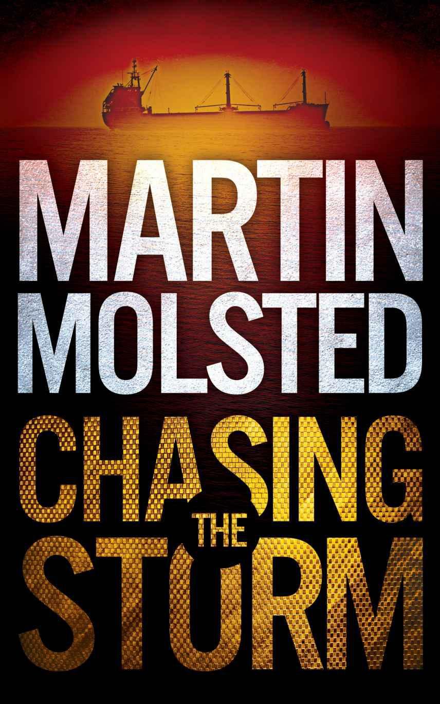 Cover of Chasing the Storm