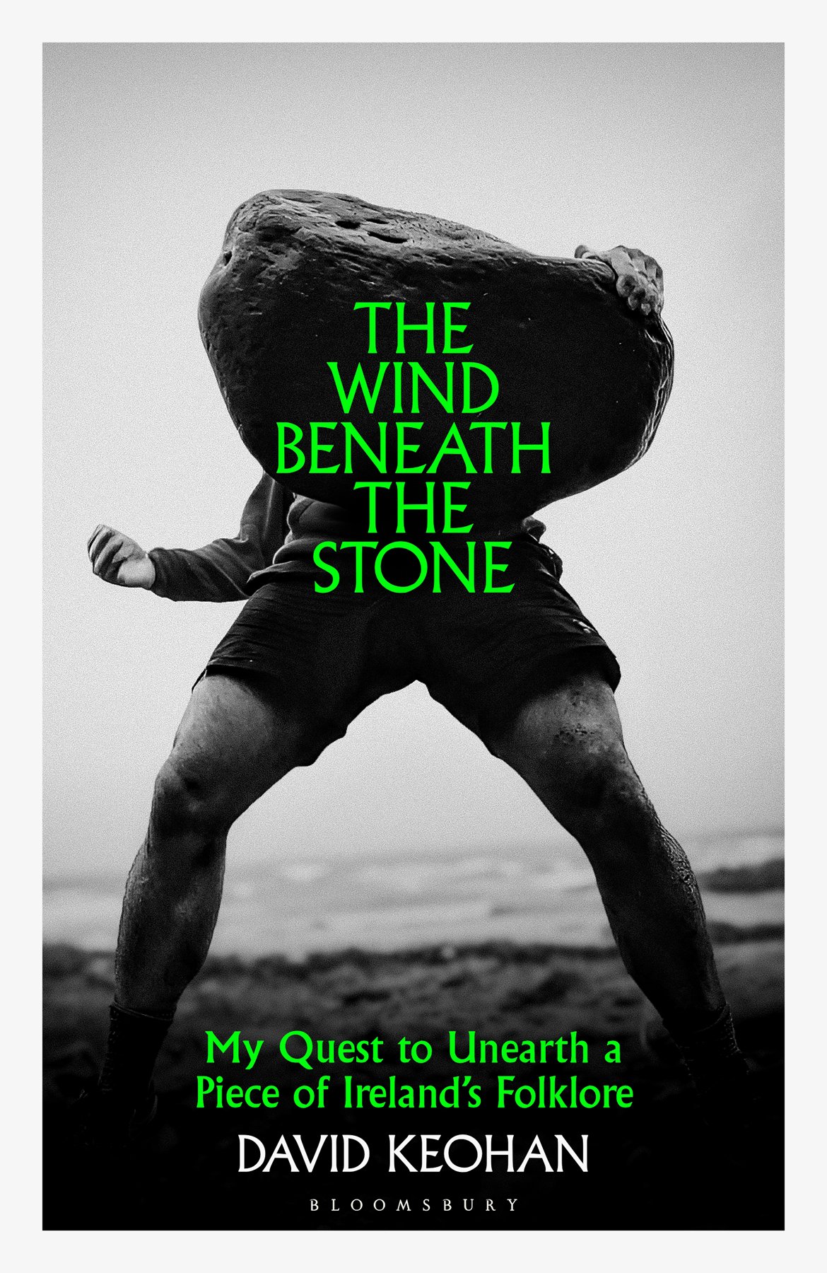 Cover of The Wind Beneath the Stone (1988)