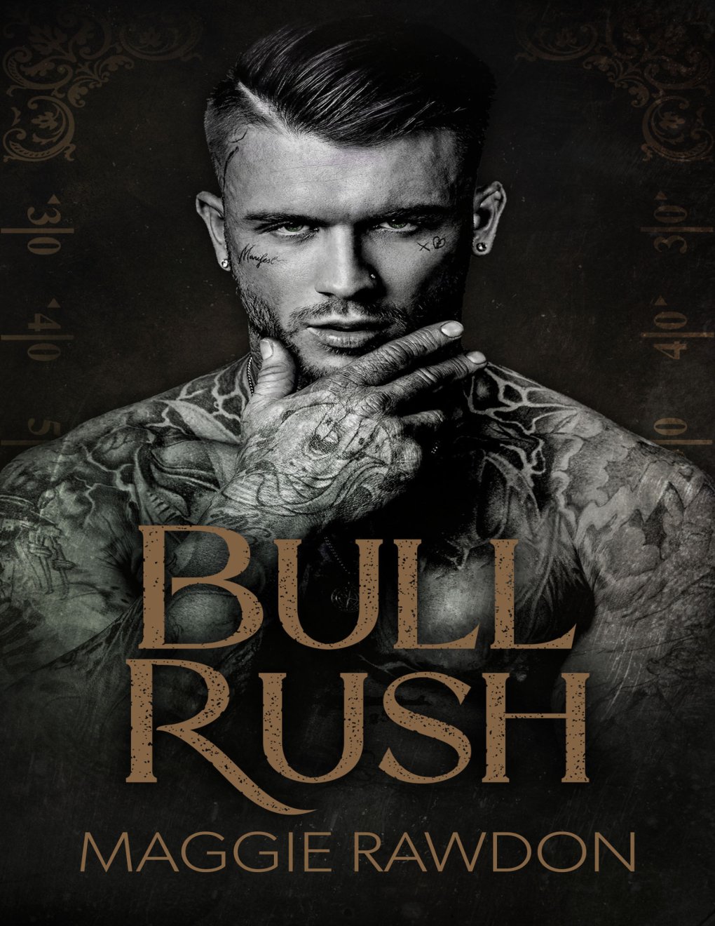 Cover of Bull Rush: A Dark Western Romance