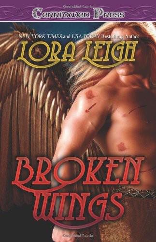 Cover of Broken Wings (2005)