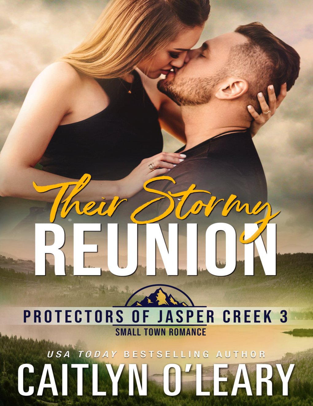 Cover of Their Stormy Reunion
