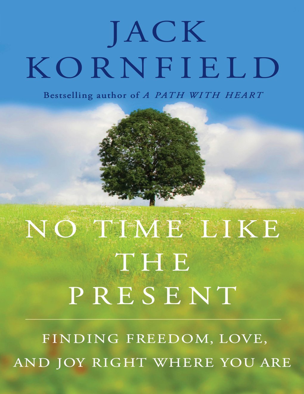 Cover of No Time Like the Present