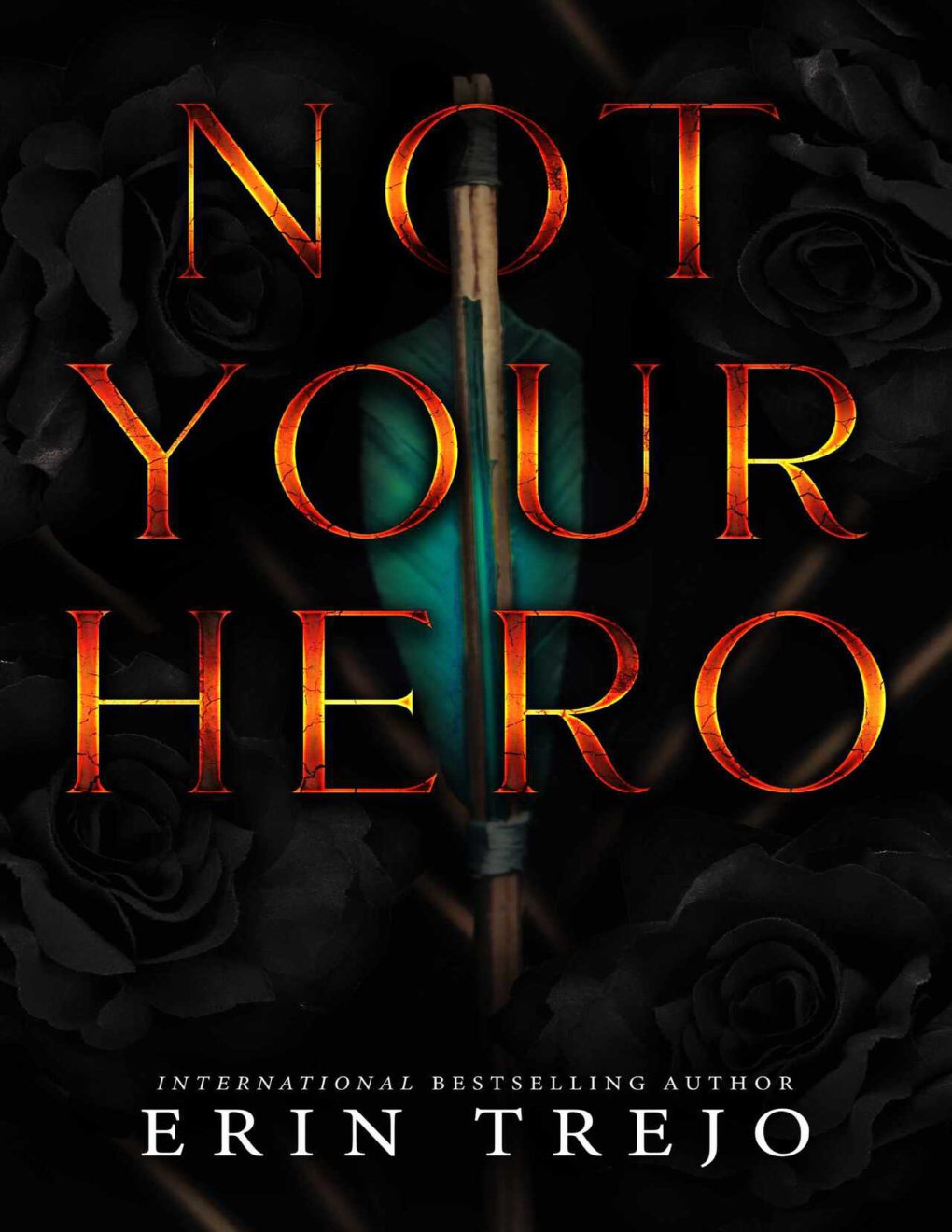 Cover of Not Your Hero