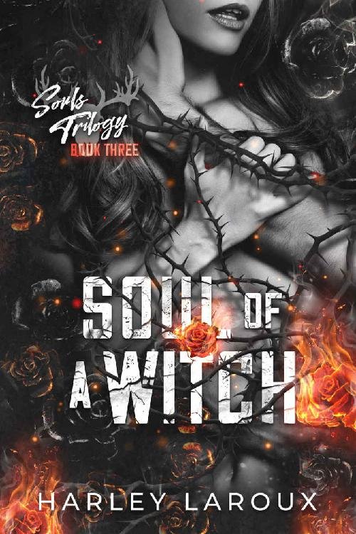 Cover of Soul of a Witch (Souls Trilogy)