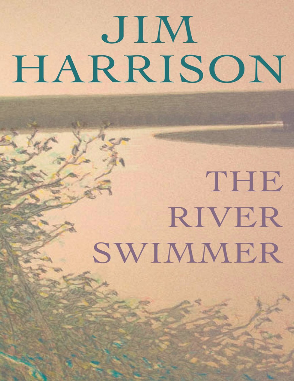 Cover of The River Swimmer