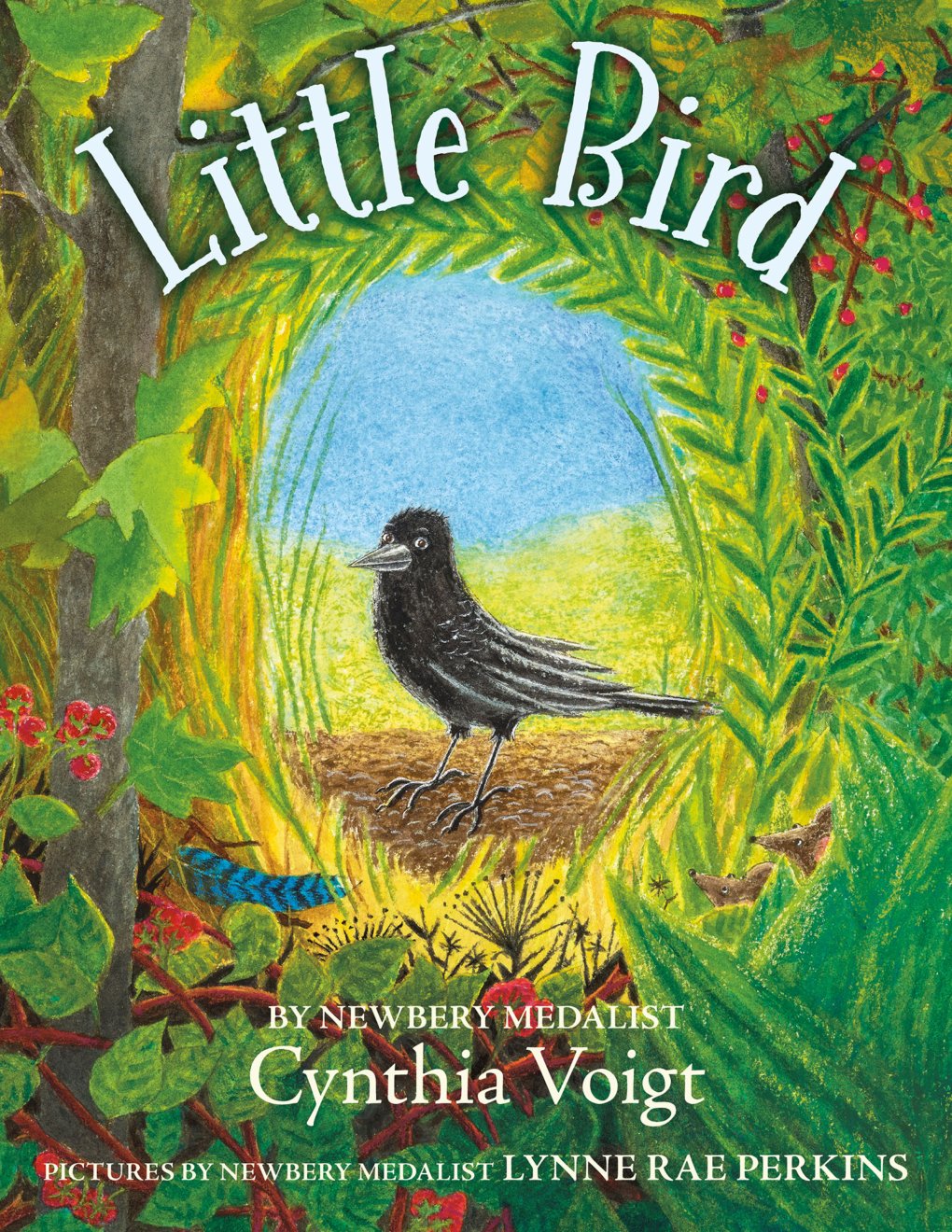 Cover of Little Bird