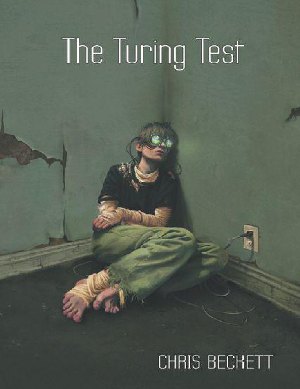 Cover of The Turing Test