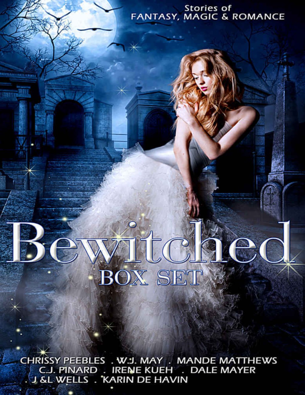 Cover of The BEWITCHED Box Set