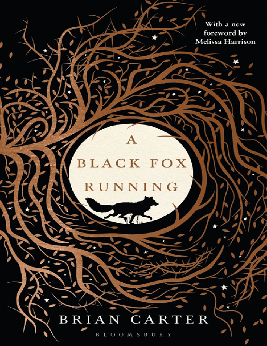 Cover of A Black Fox Running