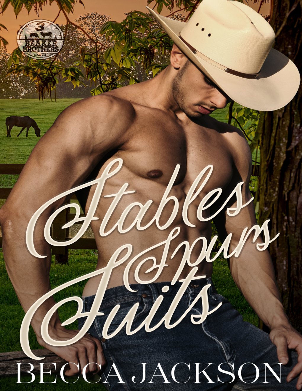 Cover of Stables Spurs Suits: A spicy, swoony, small town country romance. (Beaker Brothers Ranch Book 3)