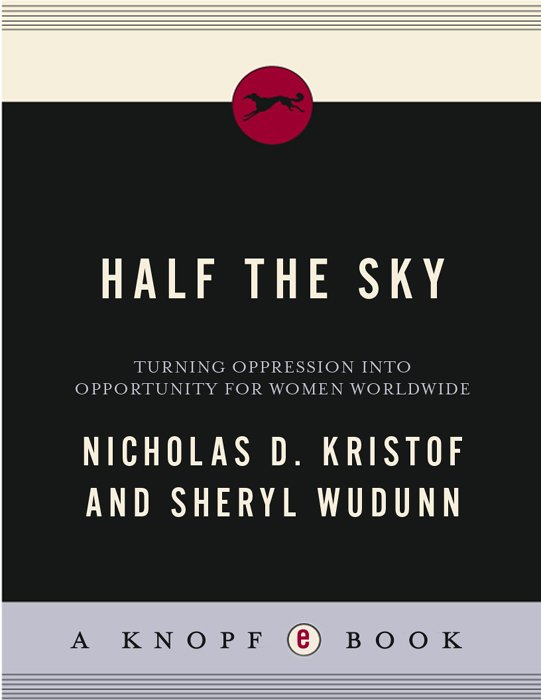 Cover of Half the Sky (1900)