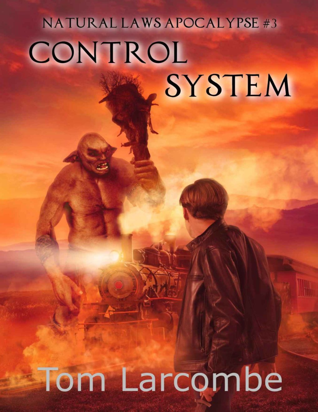 Cover of Control system (2021)