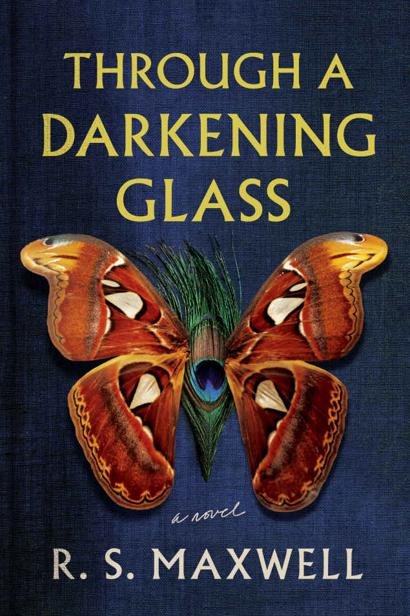 Cover of Through a Darkening Glass: A Novel