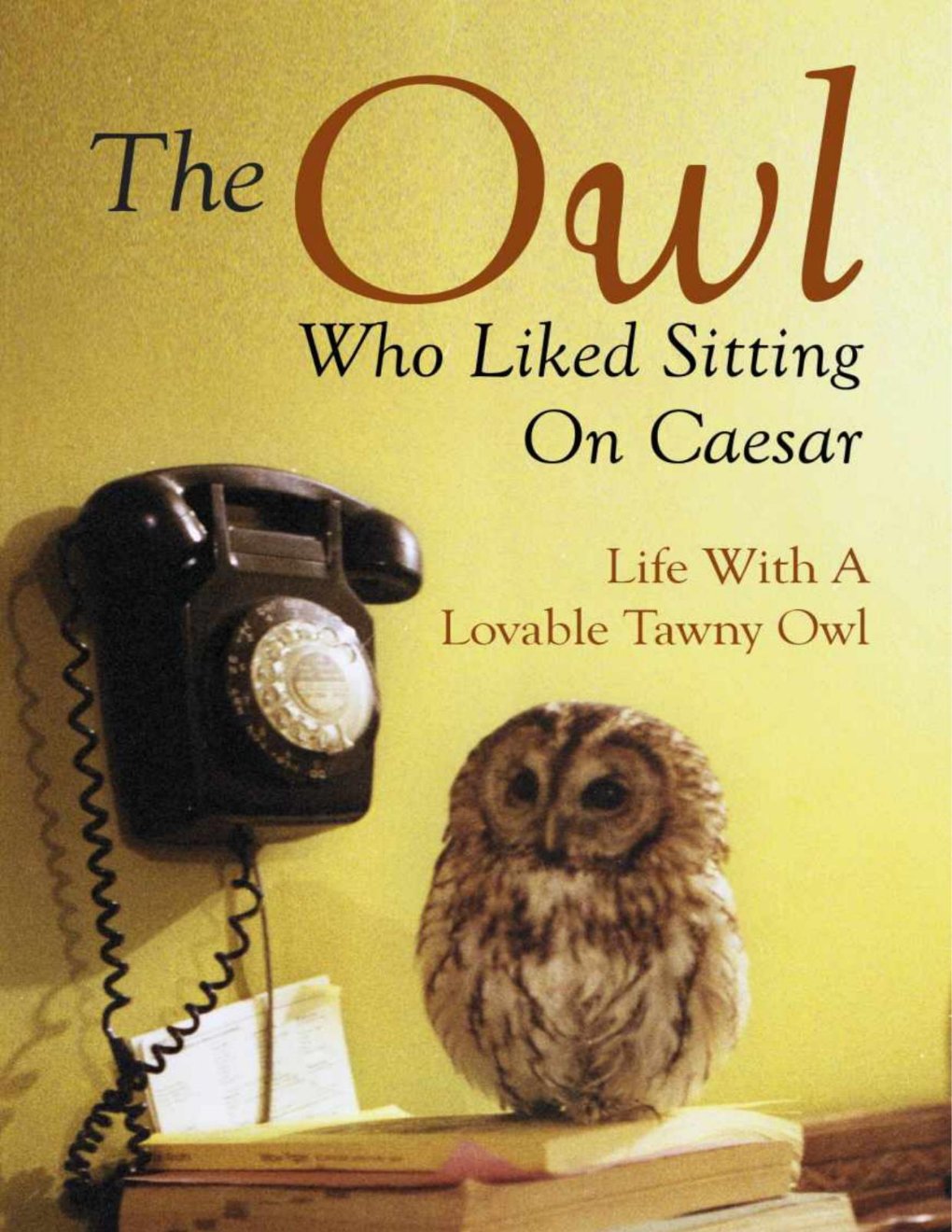 Cover of The Owl Who Liked Sitting on Caesar