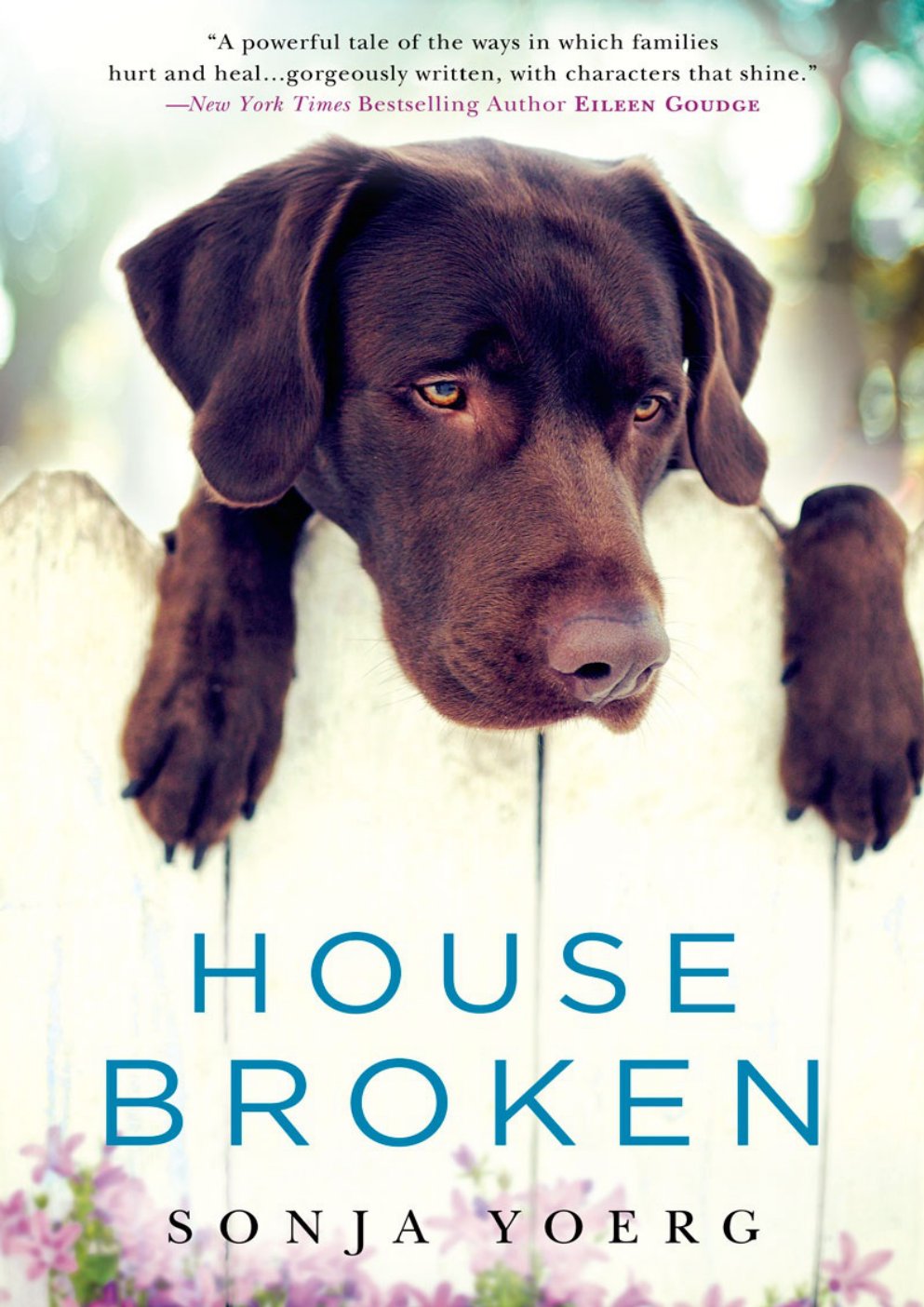 Cover of House Broken (1959)
