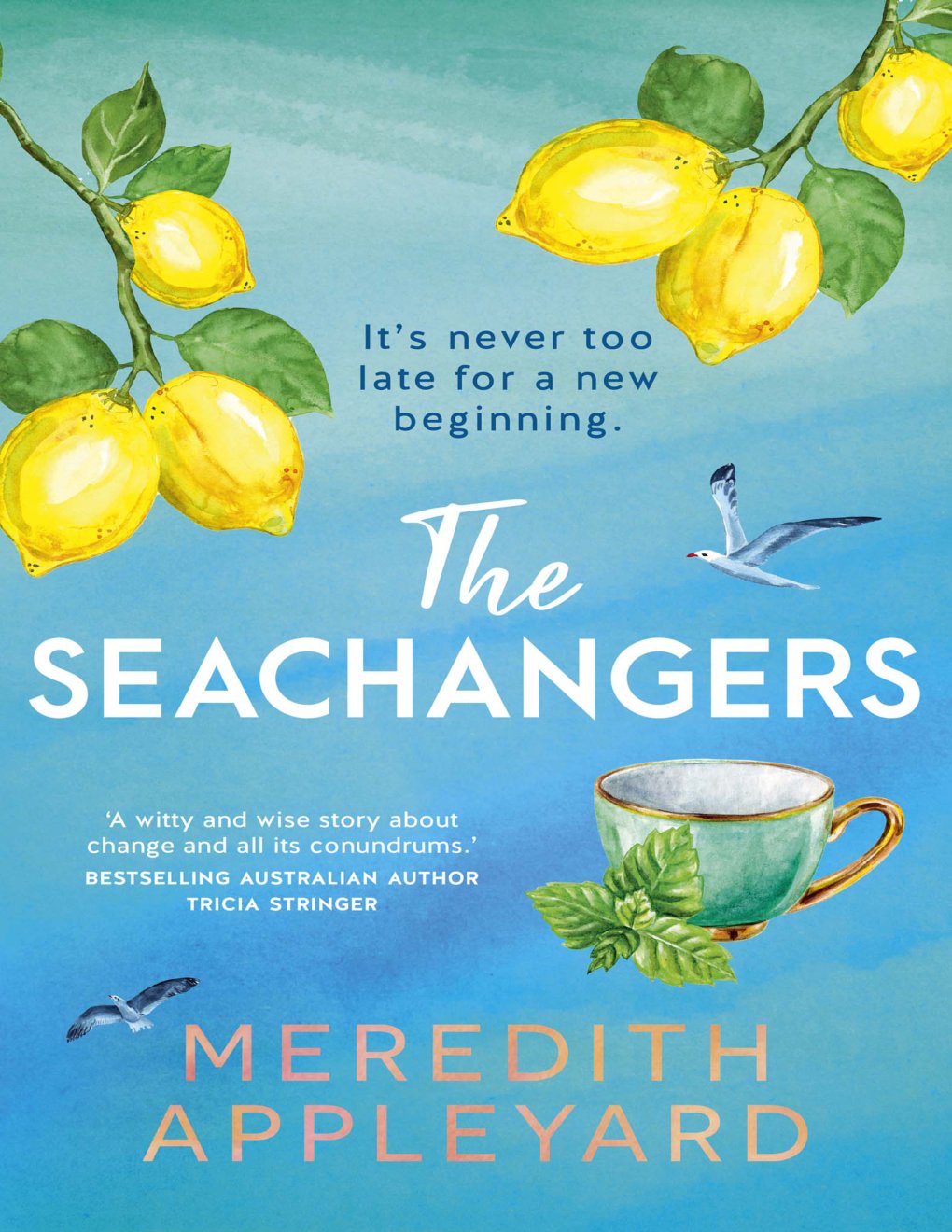 Cover of The Seachangers