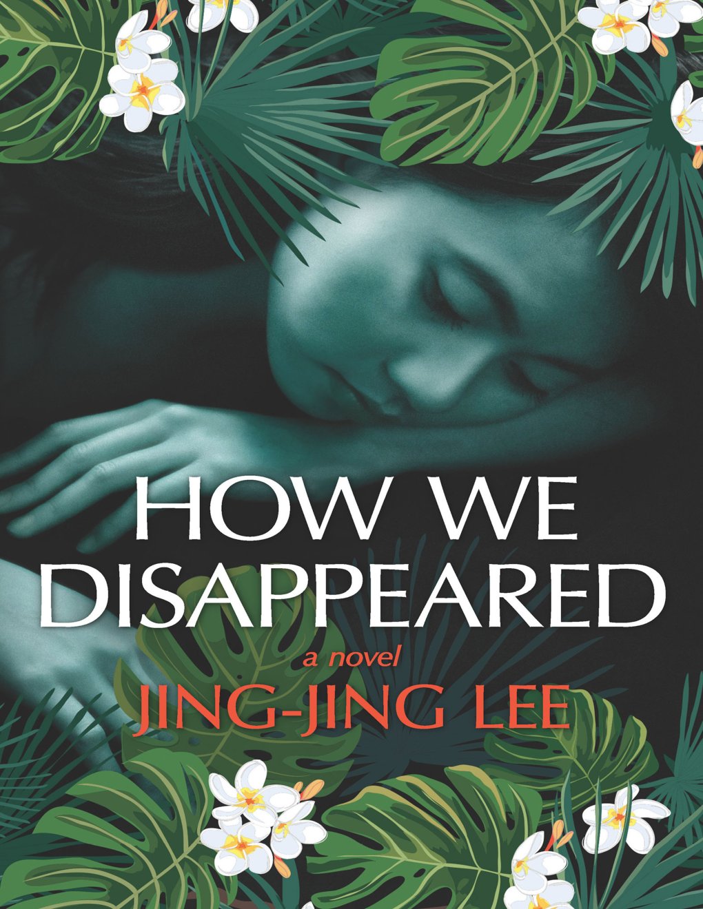Cover of How We Disappeared