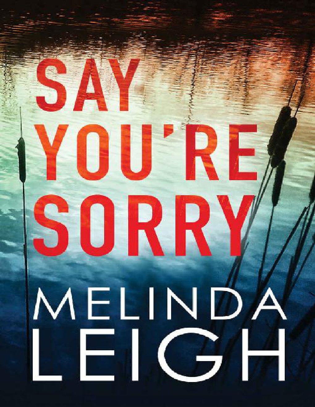 Cover of Say You're Sorry (Morgan Dane Book 1)