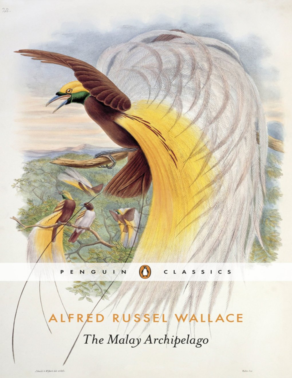 Cover of The Malay Archipelago: The Land of the Orang-utan, and the Bird of Paradise. A Narrative of Travel, with Studies of Man and Nature