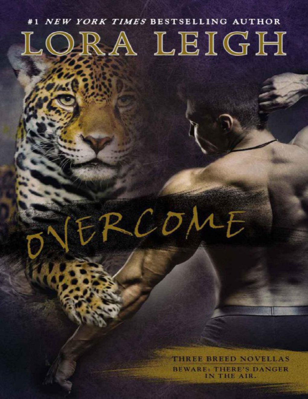 Cover of Overcome