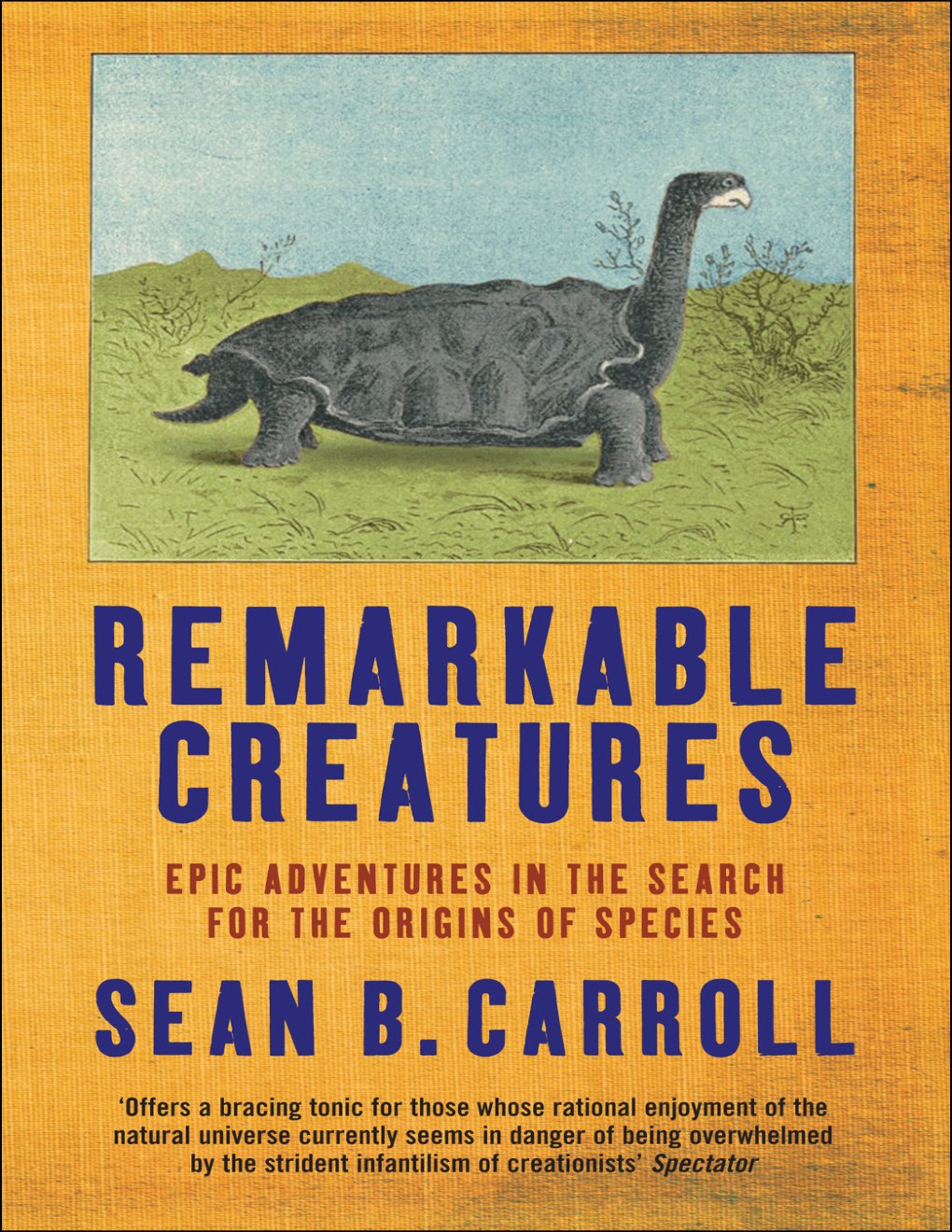 Cover of Remarkable Creatures