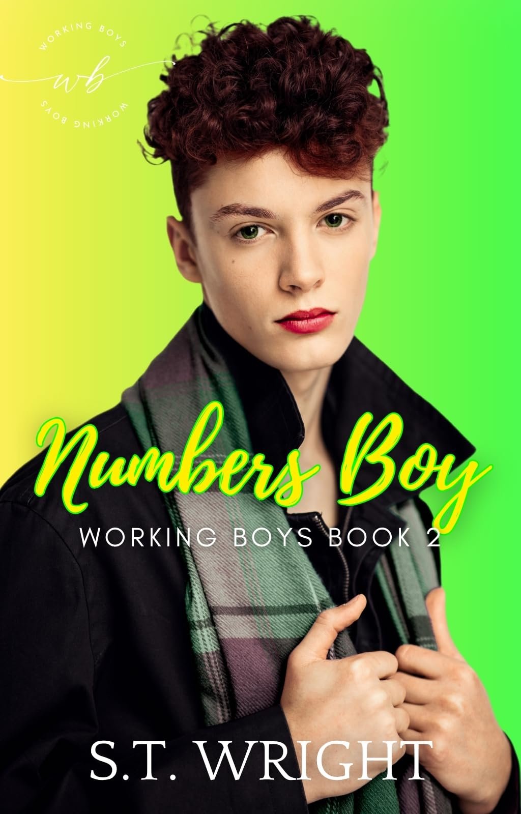 Cover of Numbers Boy