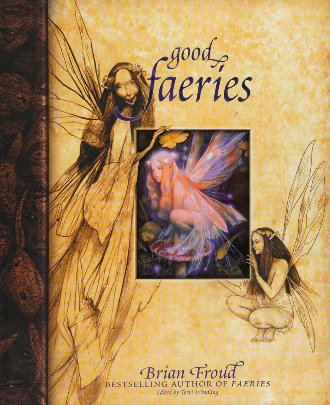 Cover of Good faeries