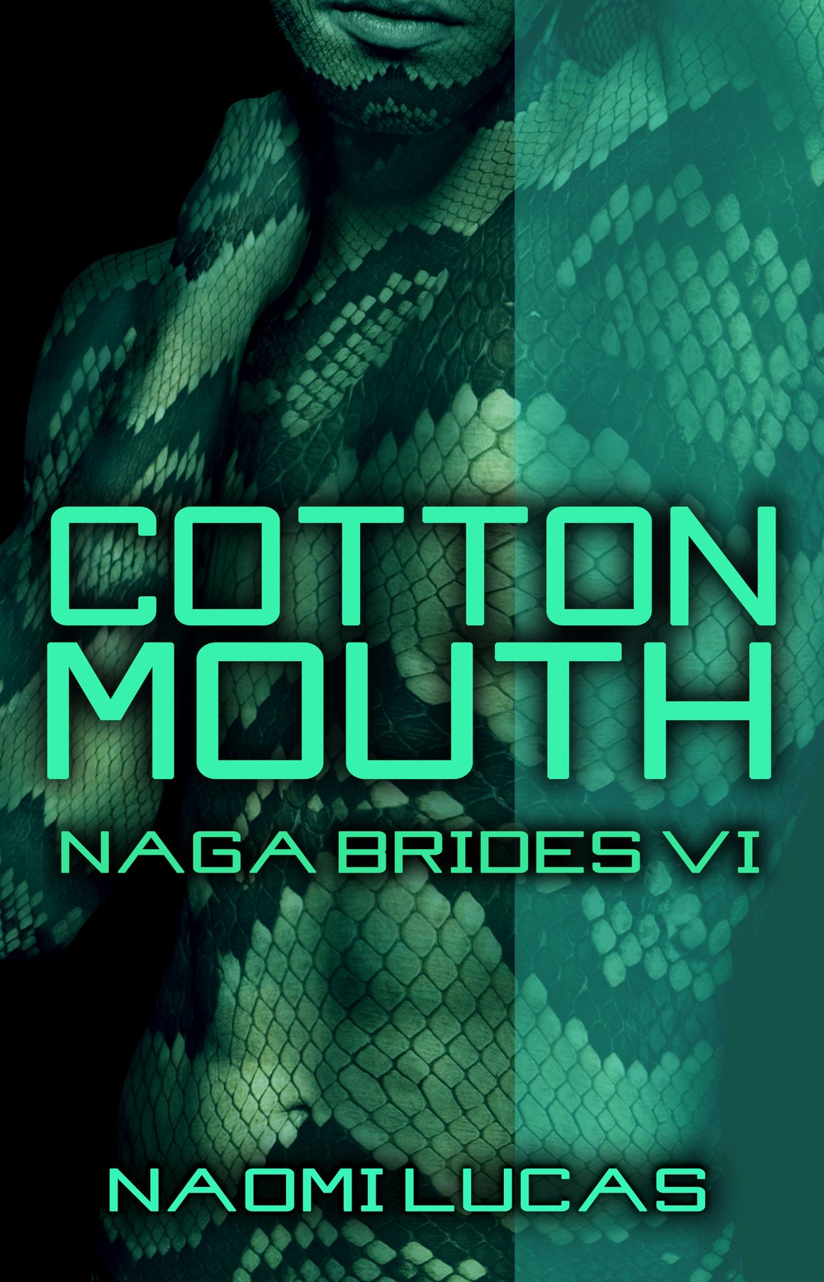 Cover of Cottonmouth (2024)