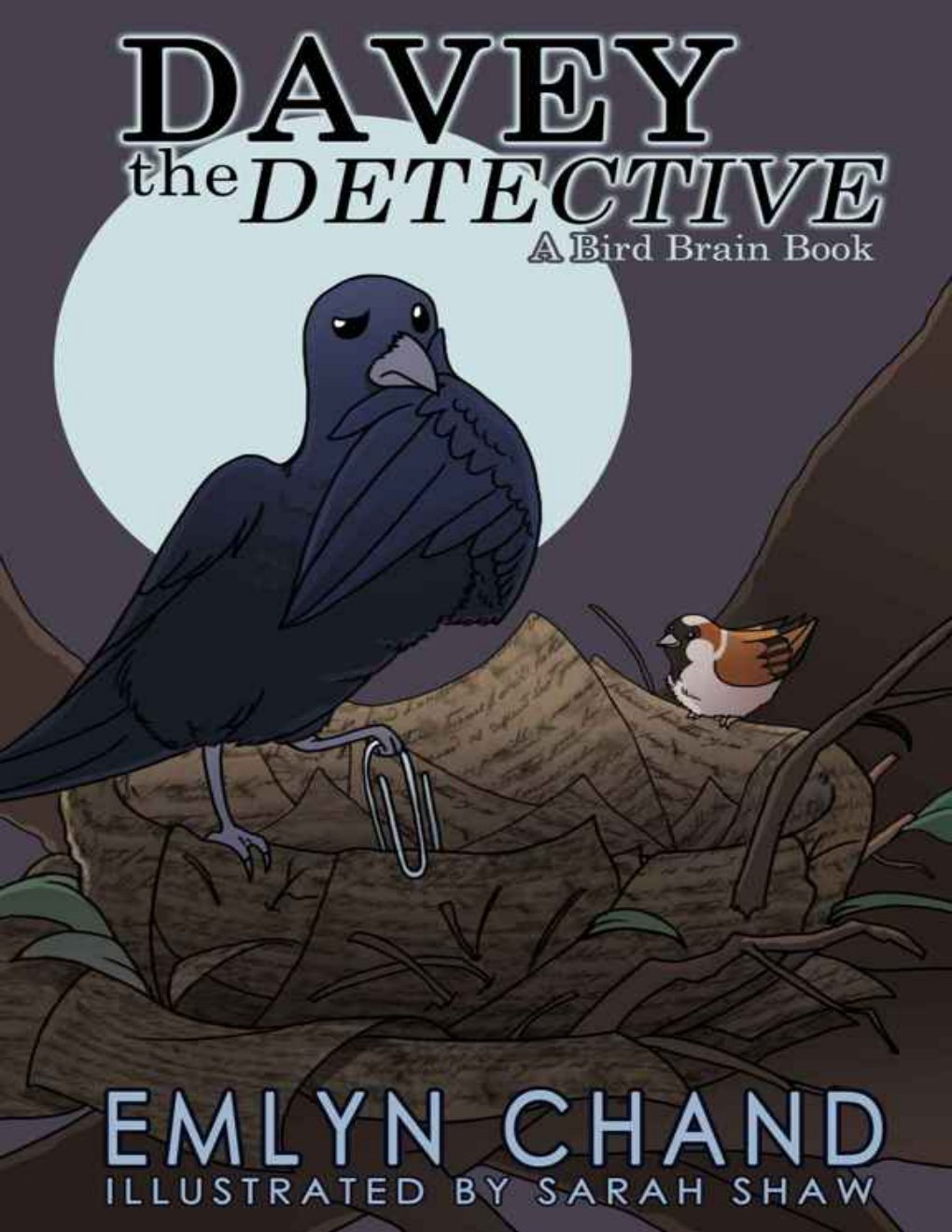 Cover of A Bird Brain Book- Davey the Detective (2012)