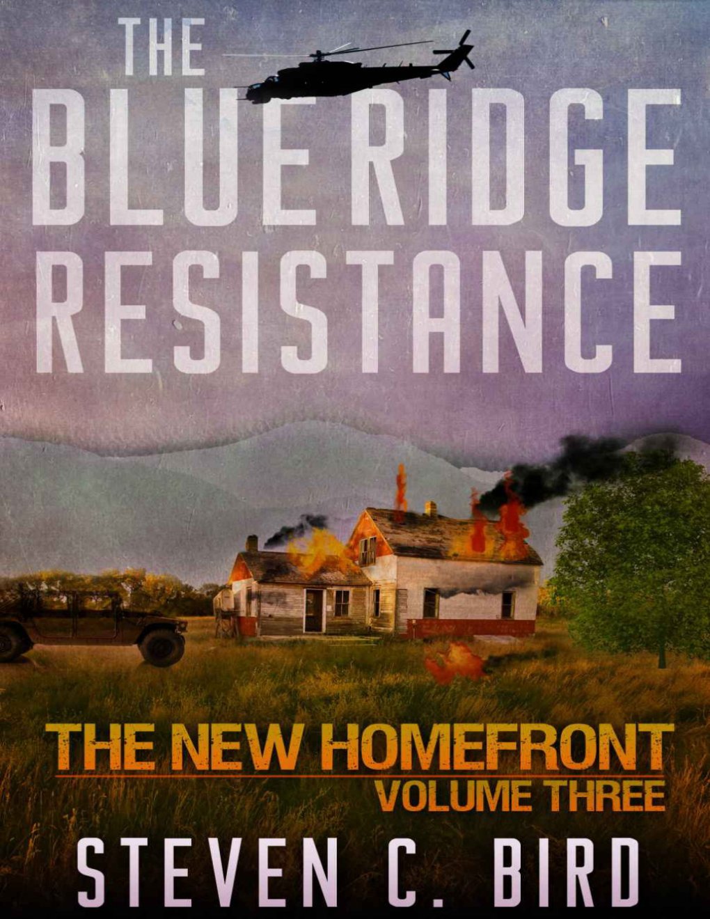 Cover of The Blue Ridge Resistance