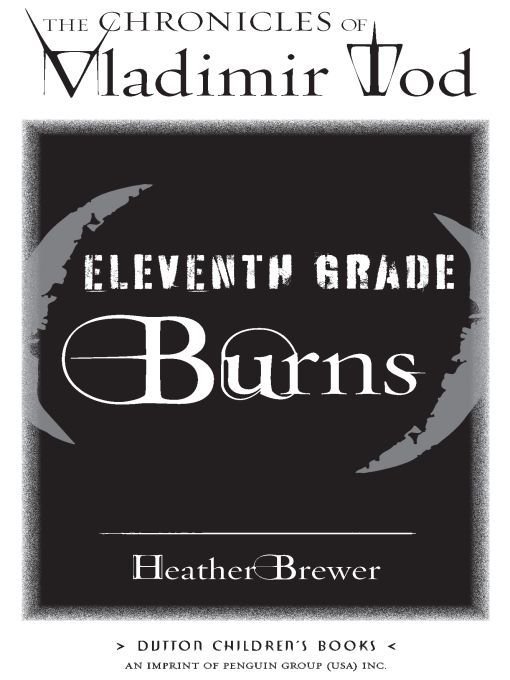 Cover of Eleventh Grade Burns