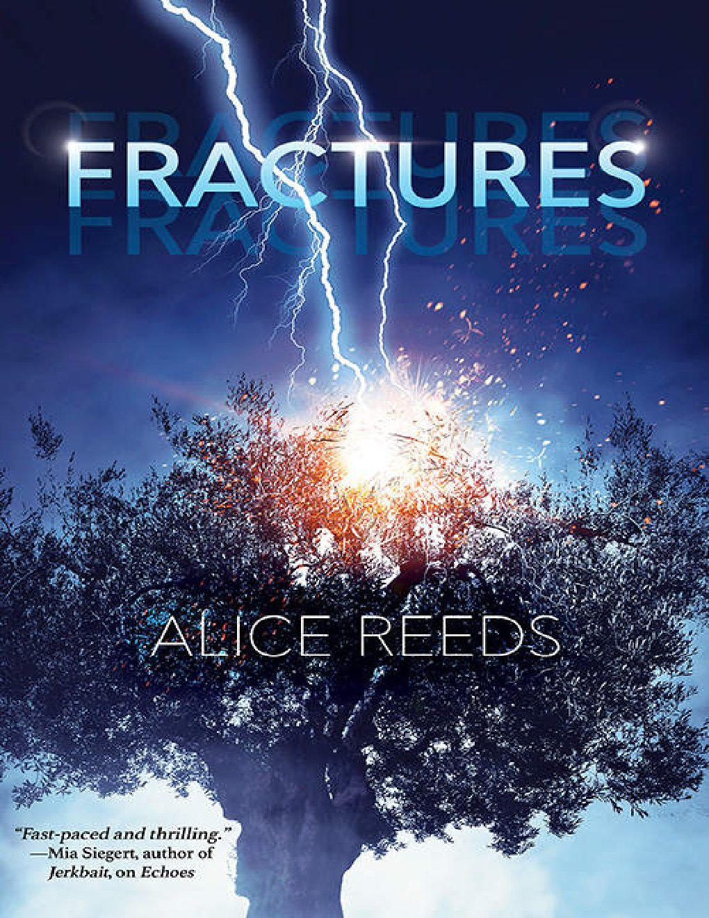Cover of Fractures