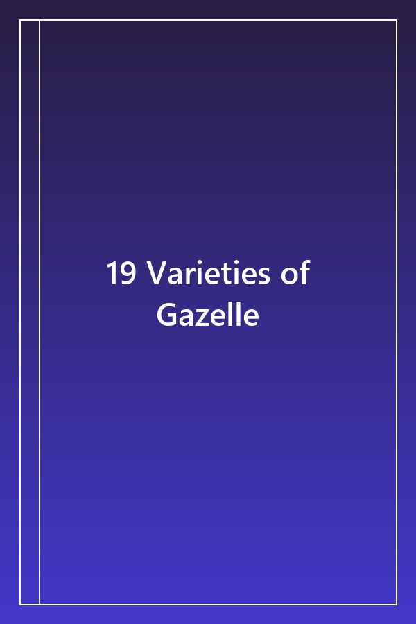 Cover of 19 Varieties of Gazelle