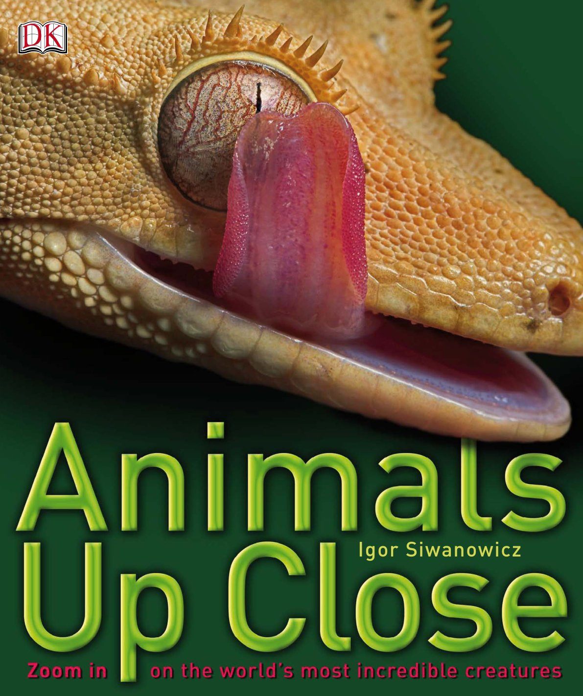 Cover of Animals Up Close