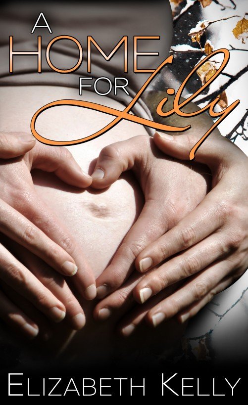 Cover of A Home for Lily