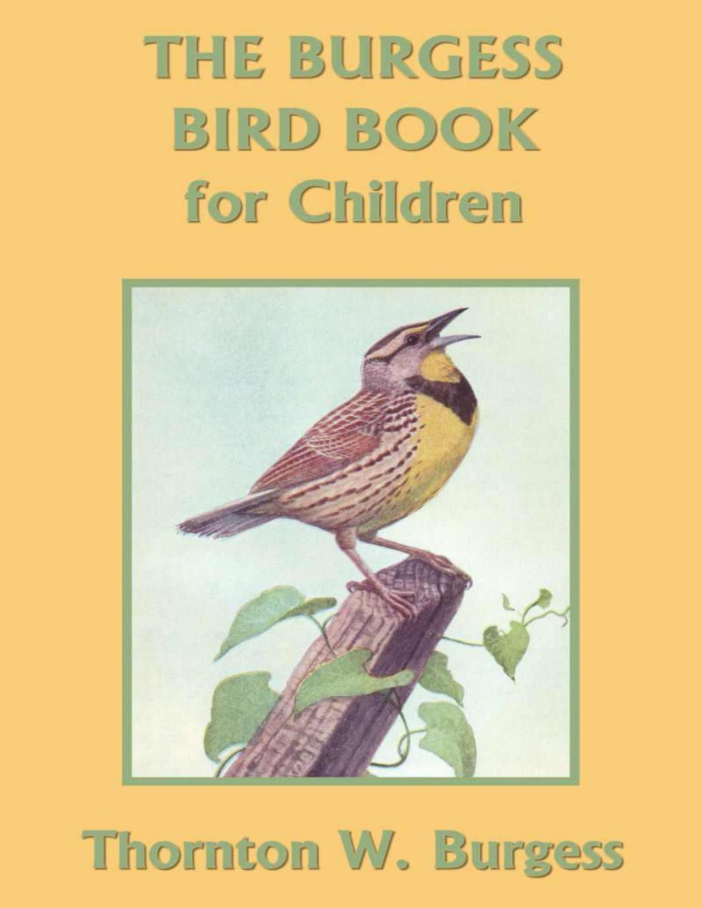 Cover of The Burgess Bird Book for Children (1880)