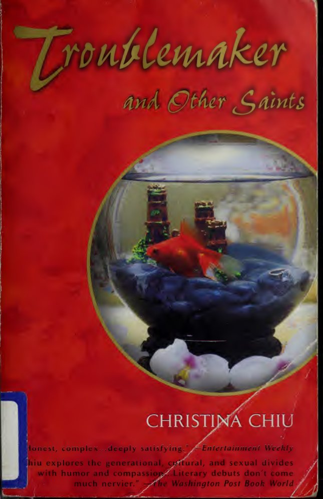 Cover of Troublemaker and other saints