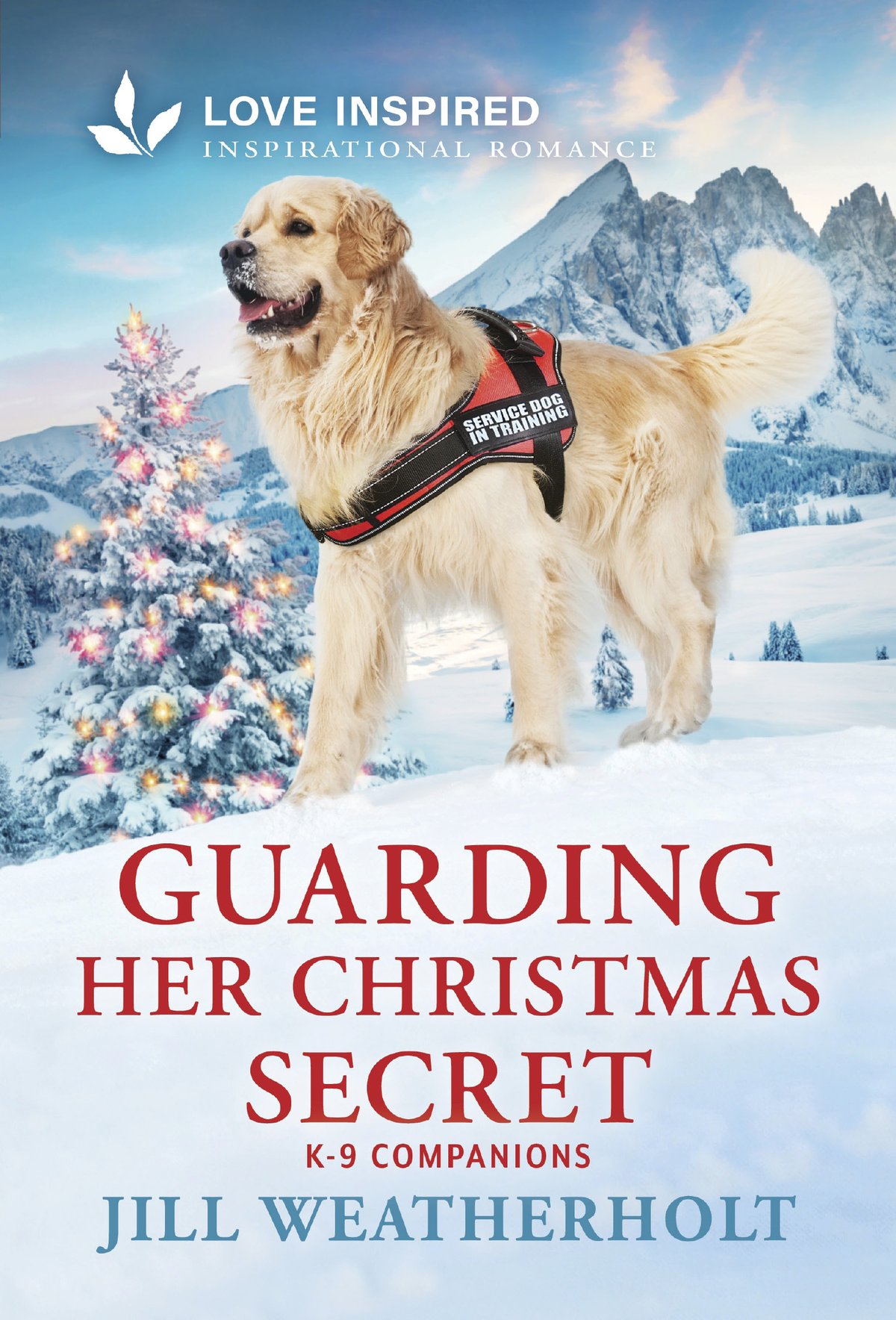 Cover of Guarding Her Christmas Secret (2024)