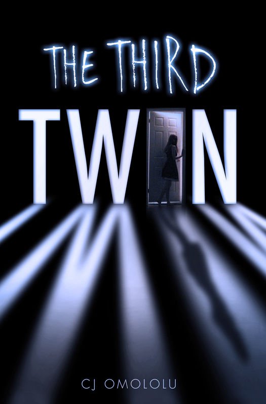 Cover of The Third Twin (2015)