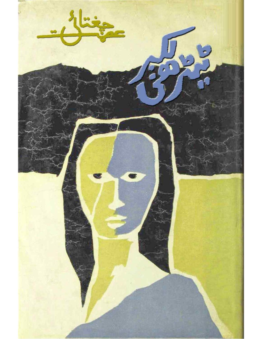 Cover of Terhi lakir Urdu Edition