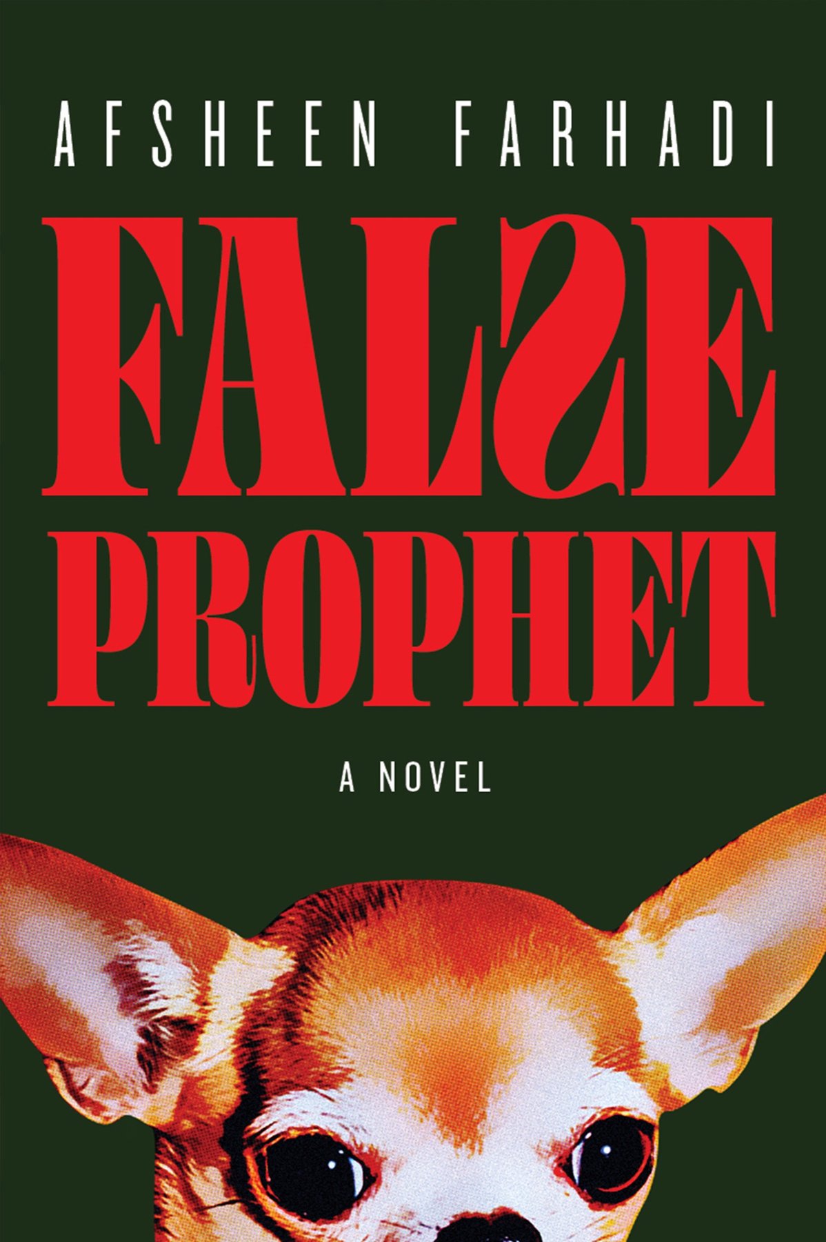 Cover of False Prophet (1745)