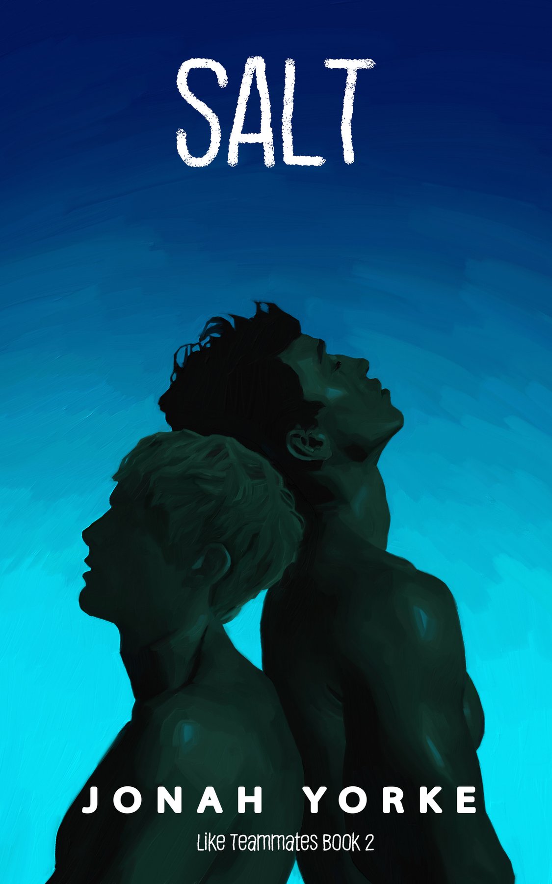Cover of Salt (Like Teammates Book 2)