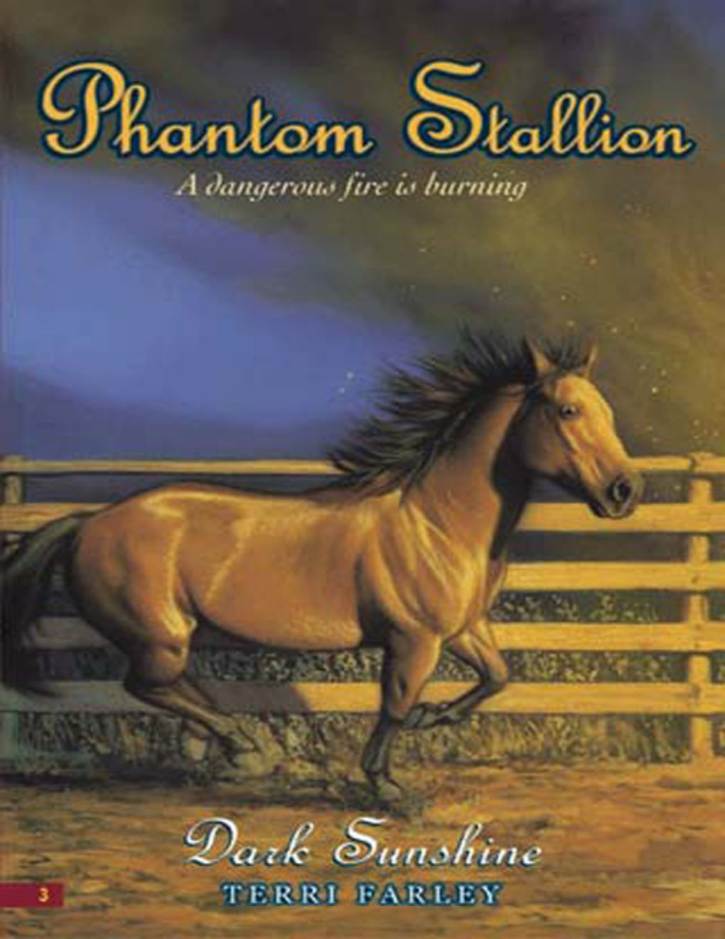 Cover of Dark Sunshine