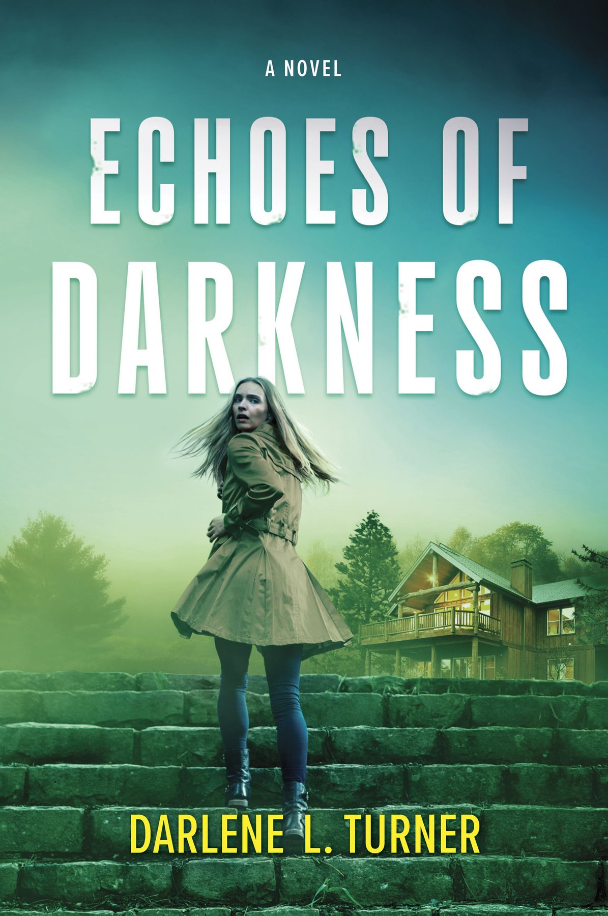 Cover of Echoes of Darkness