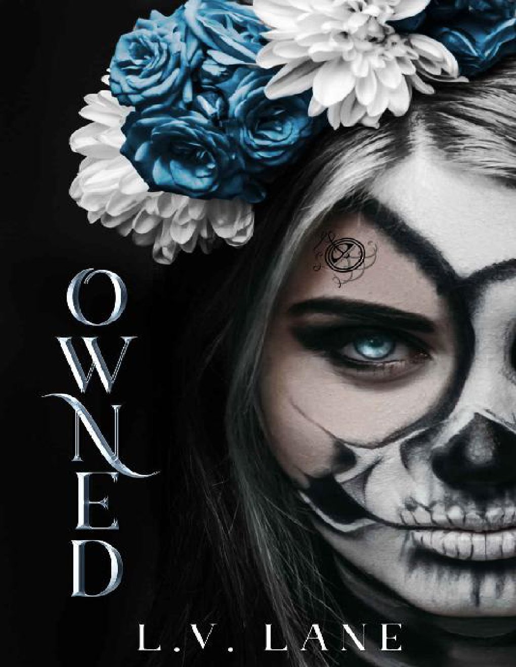 Cover of Owned