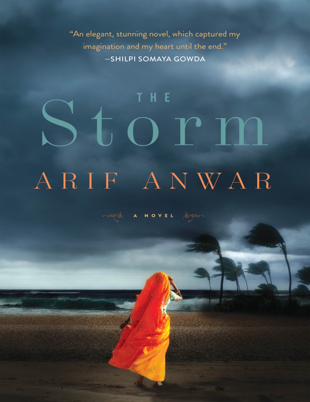 Cover of The Storm