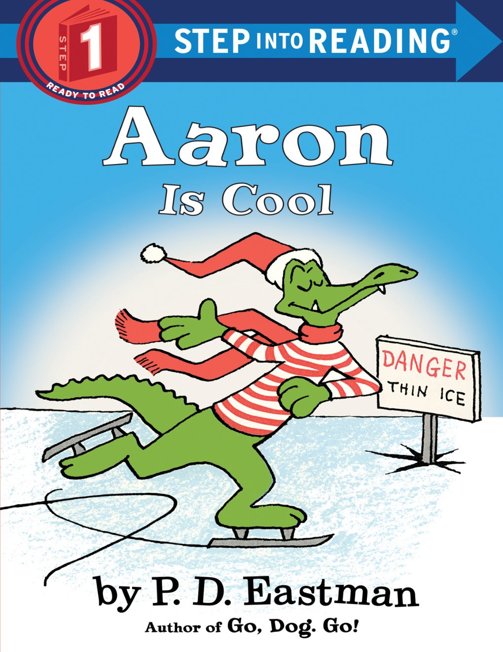 Cover of Aaron is Cool