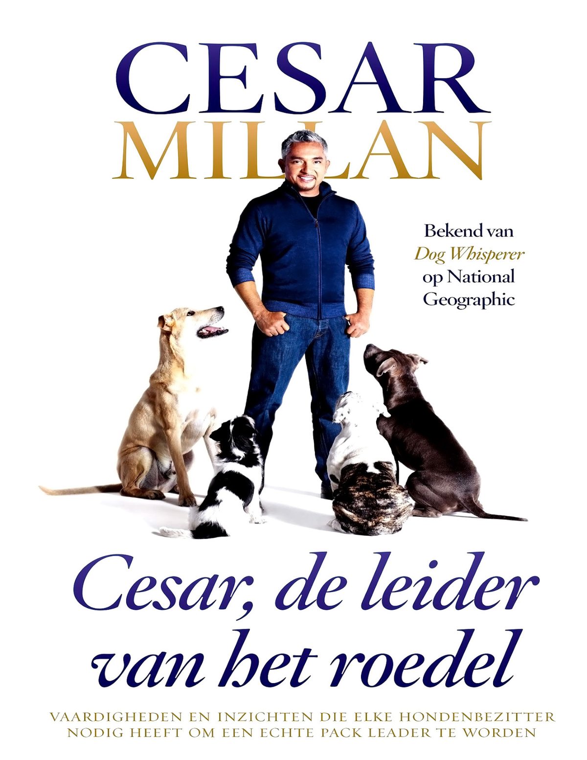 Cover of Cesar, de leider van het roedel (2007)