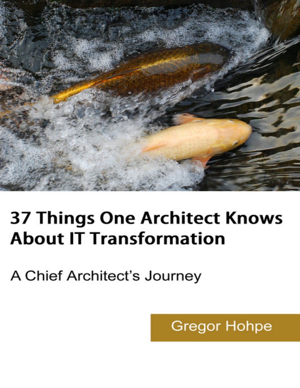 Cover of 37 Things One Architect Knows About IT Transformation