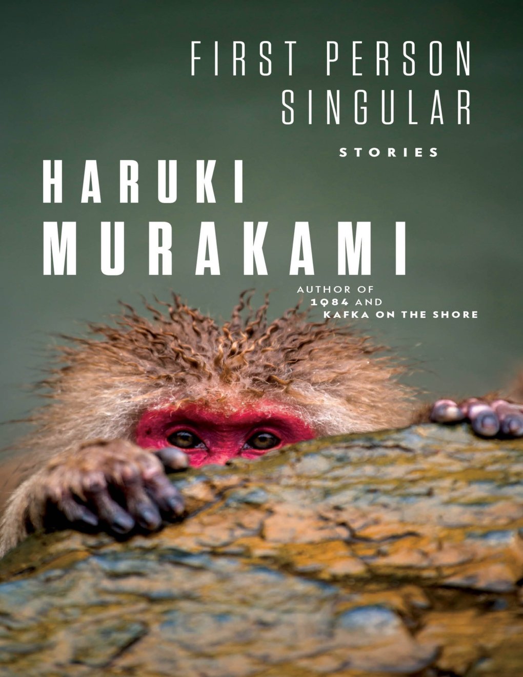 Cover of First Person Singular: Stories